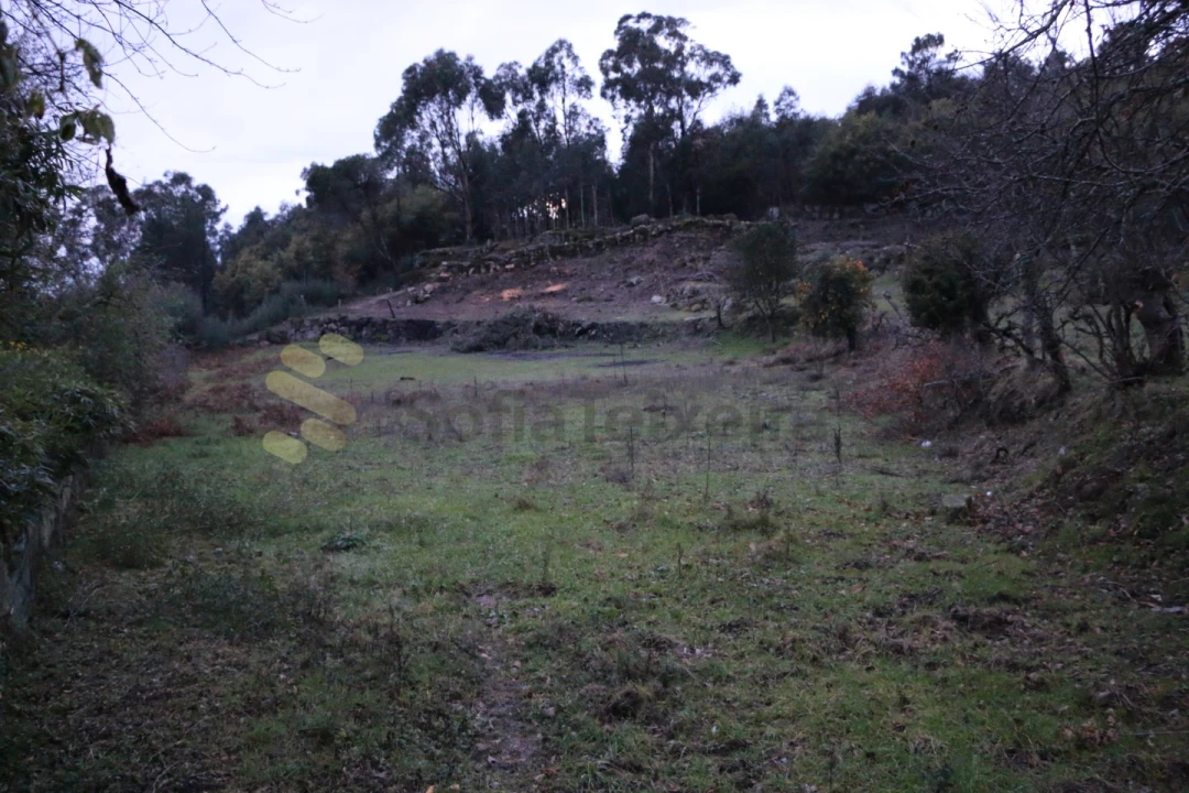 Moradia para Venda em Penhalonga e Paços de Gaiolo Foto 17