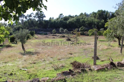 Moradia para Venda em Penhalonga e Paços de Gaiolo