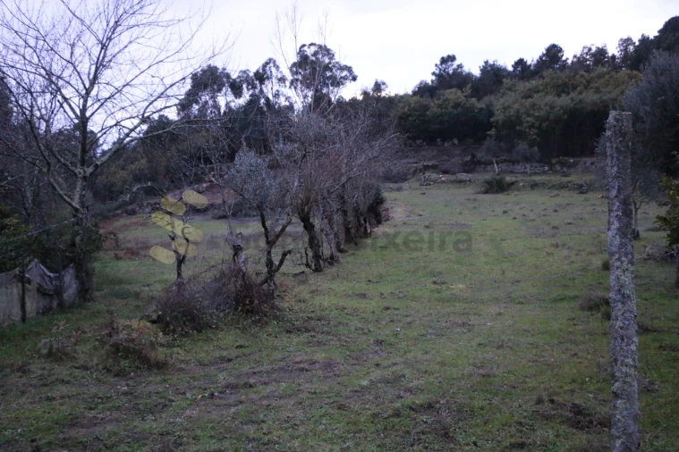 Moradia para Venda em Penhalonga e Paços de Gaiolo Foto 16