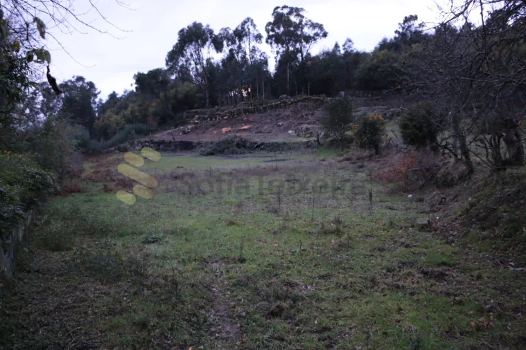 Moradia para Venda em Penhalonga e Paços de Gaiolo Foto 17