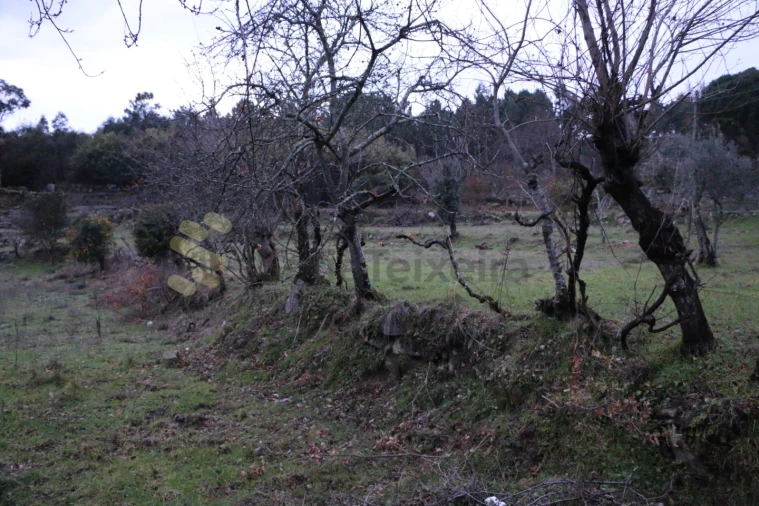 Moradia para Venda em Penhalonga e Paços de Gaiolo Foto 18