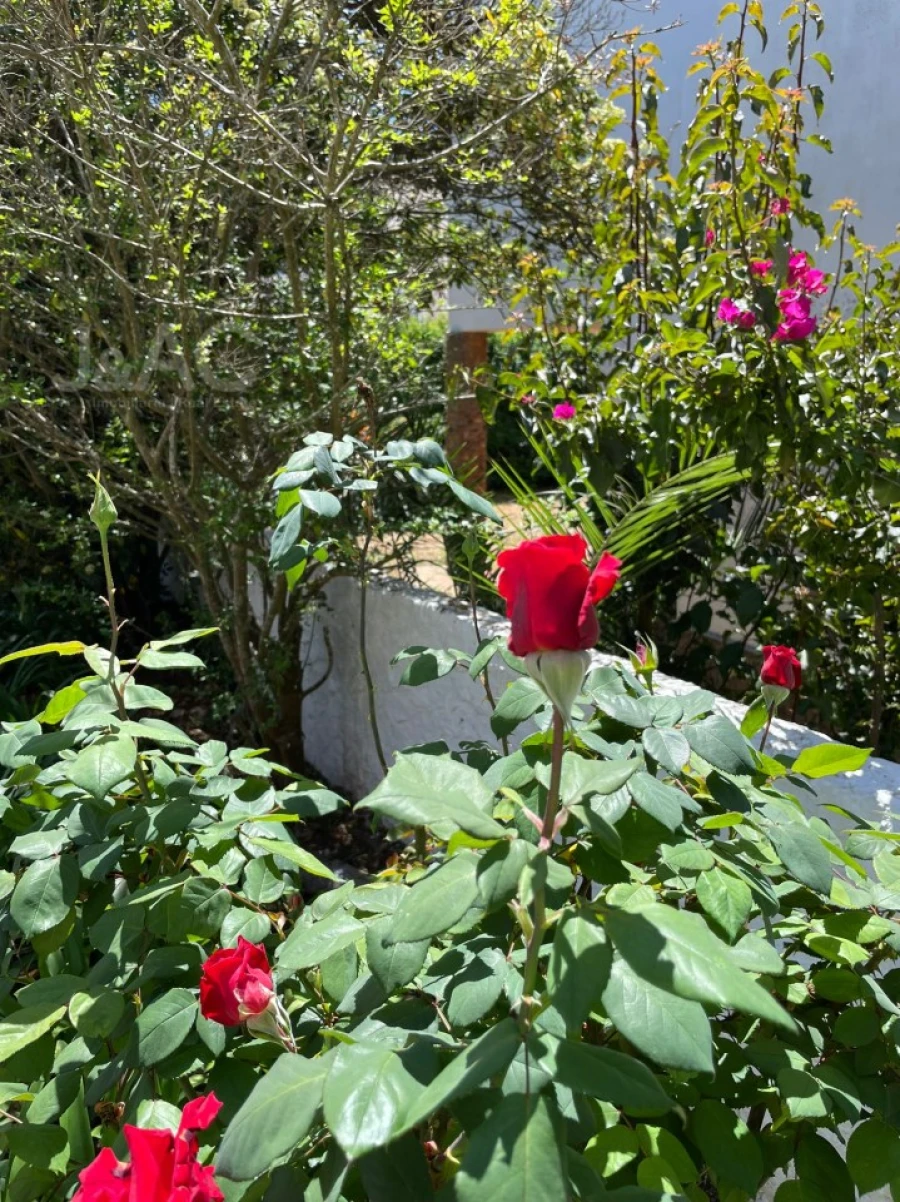 Moradia T4 para Arrendamento em Cascais e Estoril Foto 10