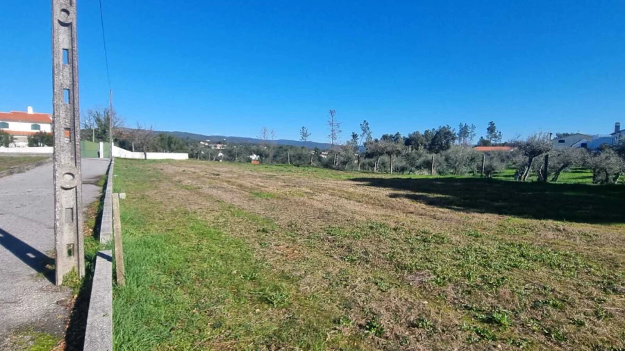 Terreno para Venda em Sertã Foto 1