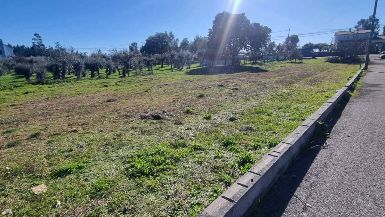 Terreno para Venda em Sertã Foto 3