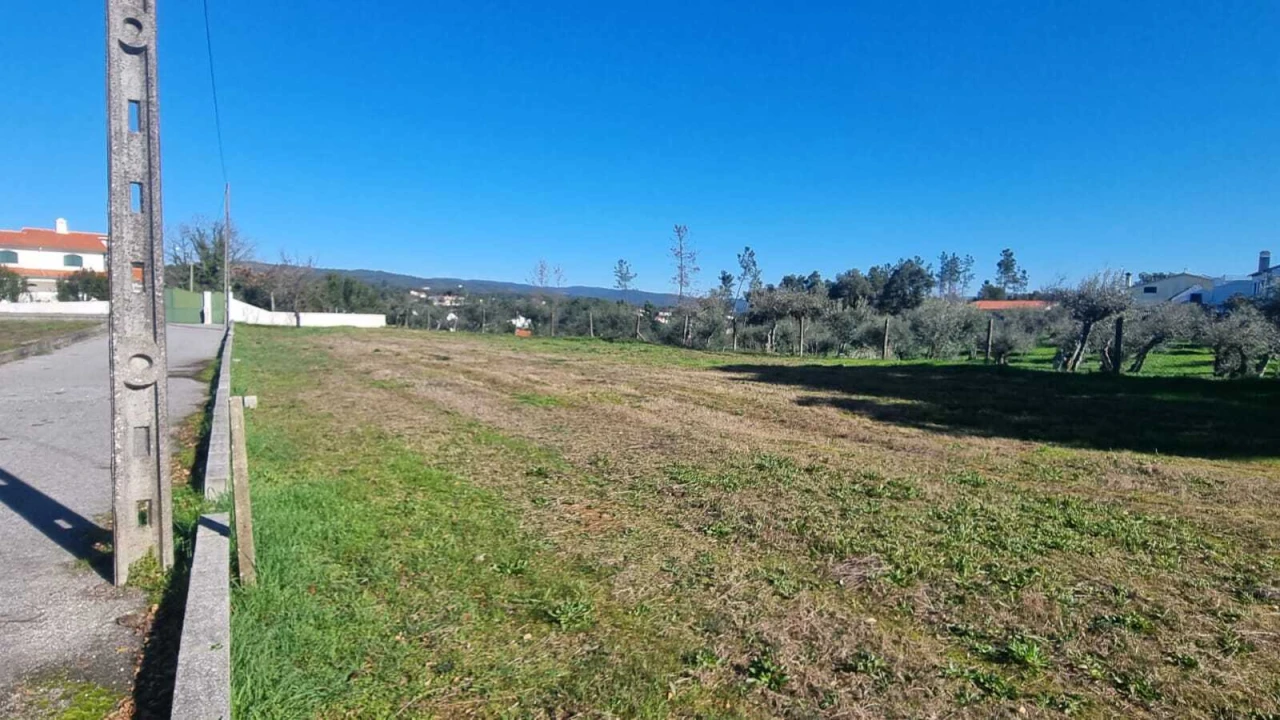 Terreno para Venda em Sertã Foto 1