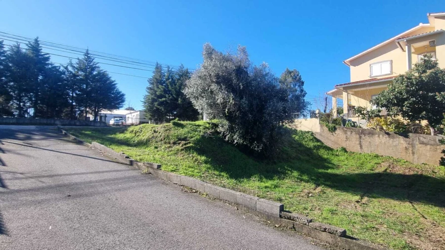 Terreno para Venda em Sertã Foto 3