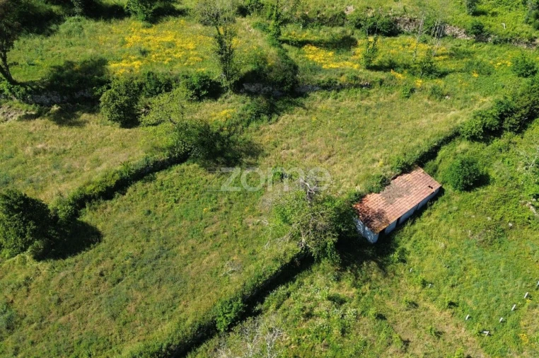 Quinta T10 para Venda em Marco Foto 9