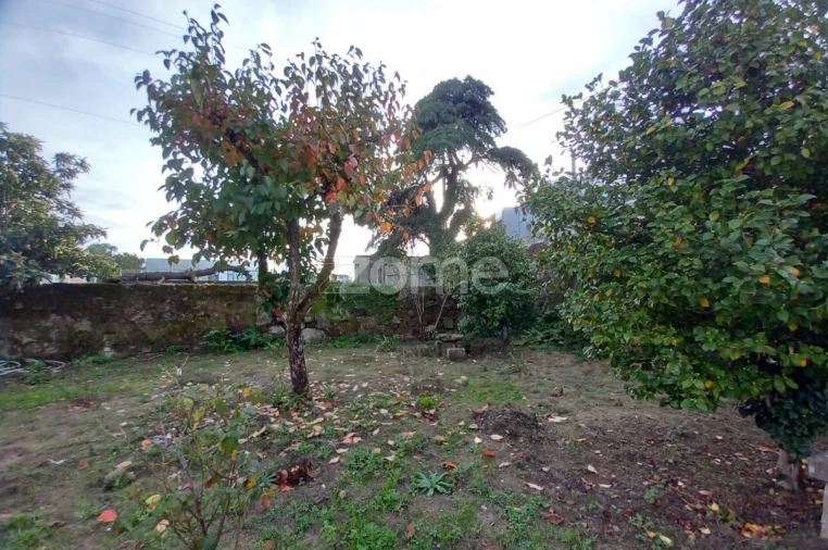 Quinta T10 para Venda em Marco Foto 5