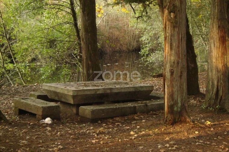 Terreno para Venda em Castelo de Penalva Foto 12