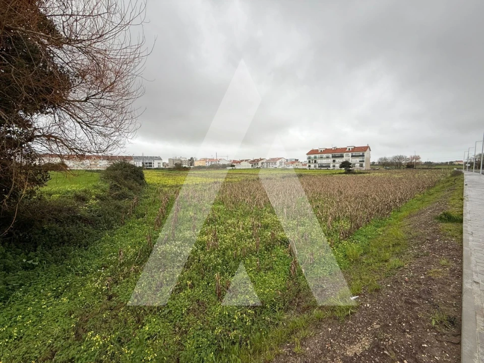 Terreno para Venda em Gafanha da Encarnação Foto 9