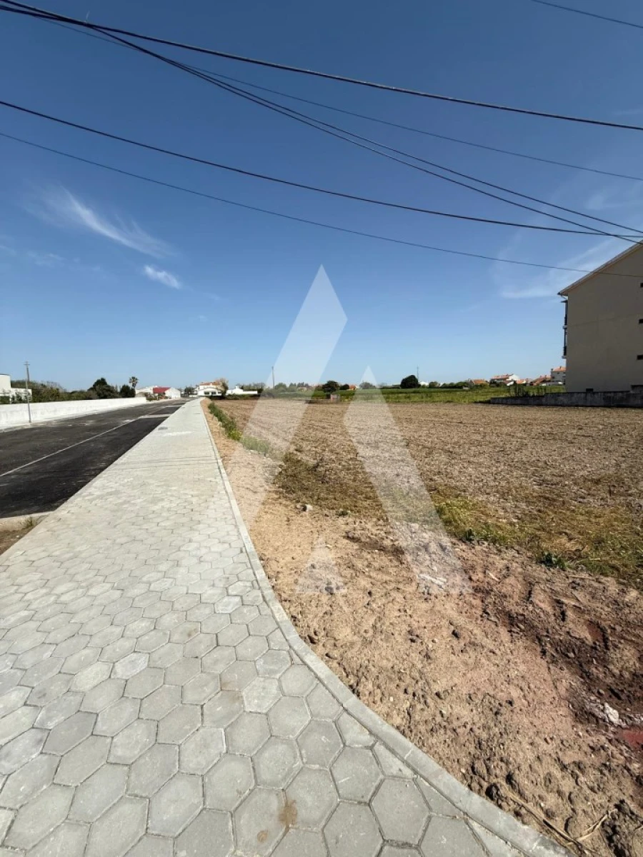 Terreno para Venda em Gafanha da Encarnação Foto 12