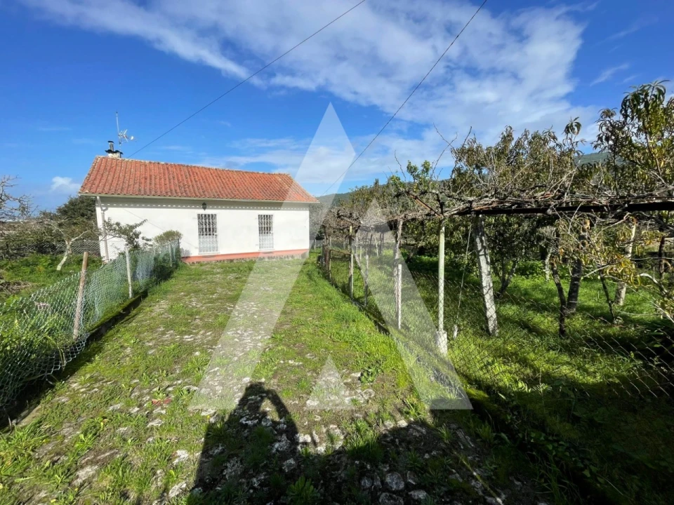 Moradia T2 para Venda em Afife Foto 1