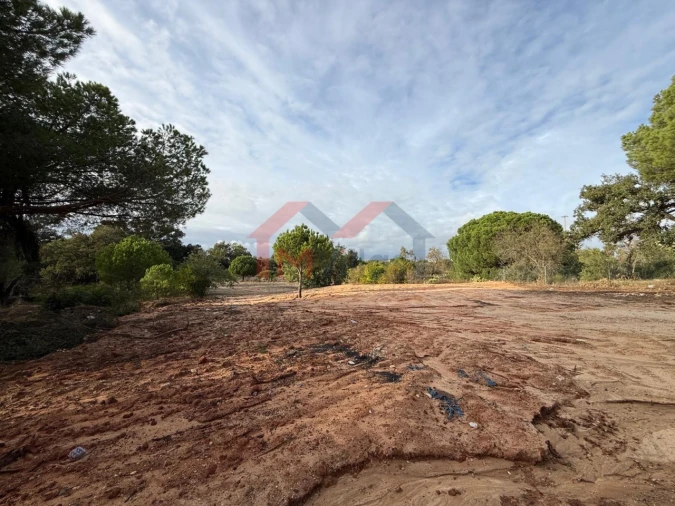 Terreno para Venda em Almancil Foto 15