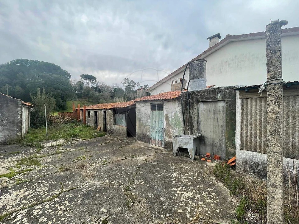 Moradia T2 para Venda em Soure Foto 4