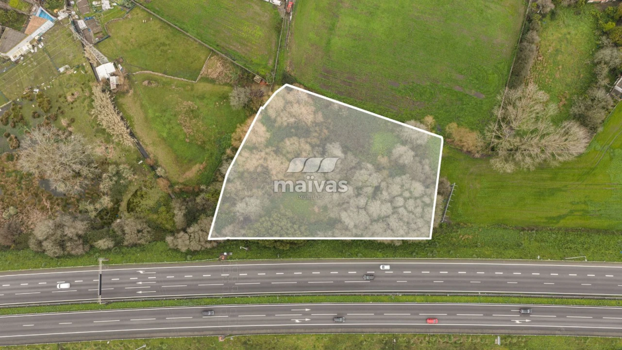 Terreno Agricola ou Rústico para Venda em Perafita, Lavra e Santa Cruz do Bispo Foto 16