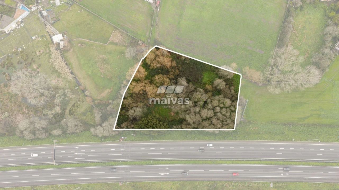 Terreno Agricola ou Rústico para Venda em Perafita, Lavra e Santa Cruz do Bispo Foto 17