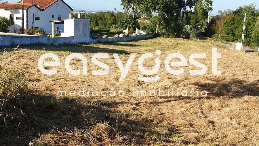 Terreno para Venda em Alfarelos