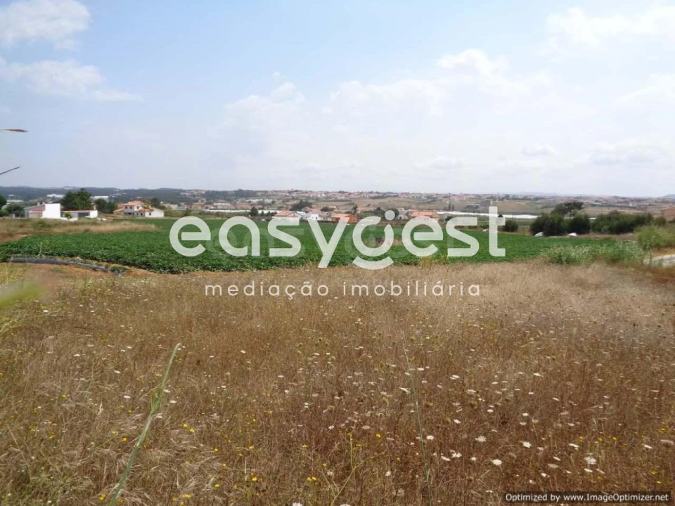 Terreno Agricola ou Rústico para Venda em Silveira Foto 2