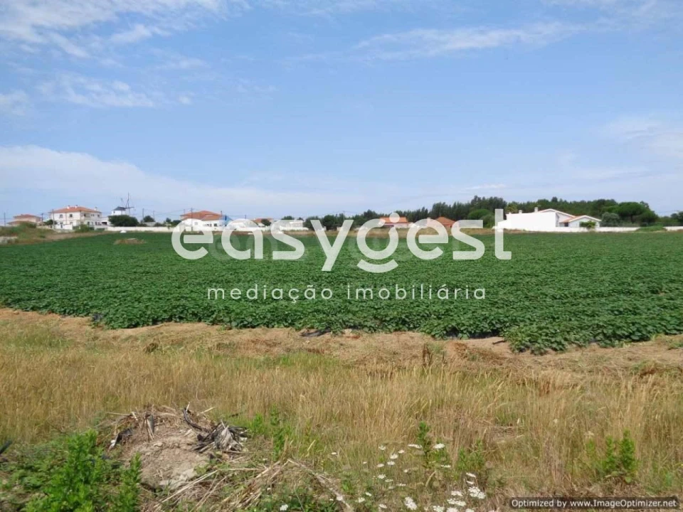 Terreno Agricola ou Rústico para Venda em Silveira Foto 6