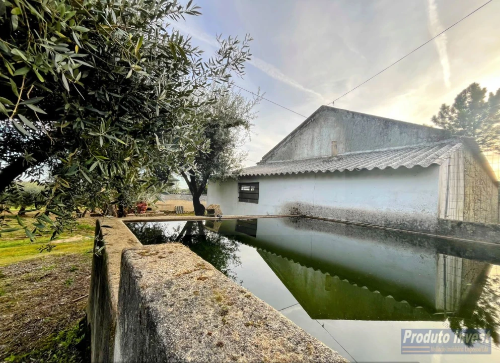 Terreno para Venda em Póvoa de Atalaia e Atalaia do Campo Foto 1