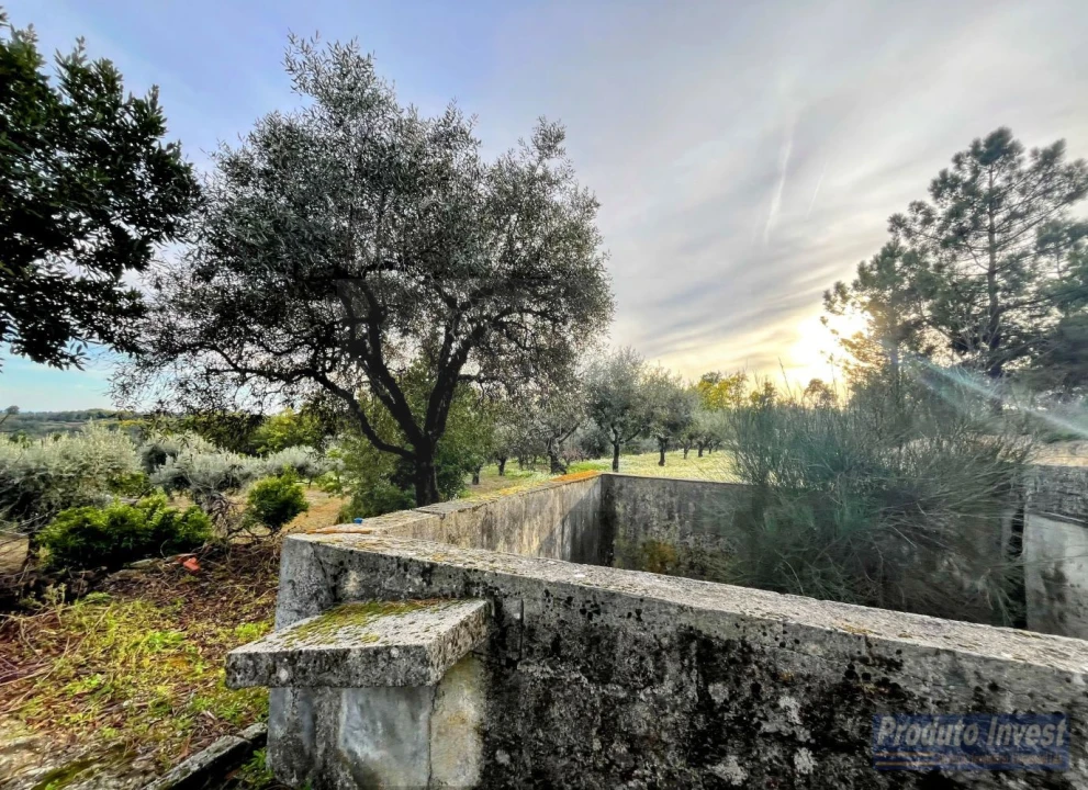 Terreno para Venda em Póvoa de Atalaia e Atalaia do Campo Foto 30