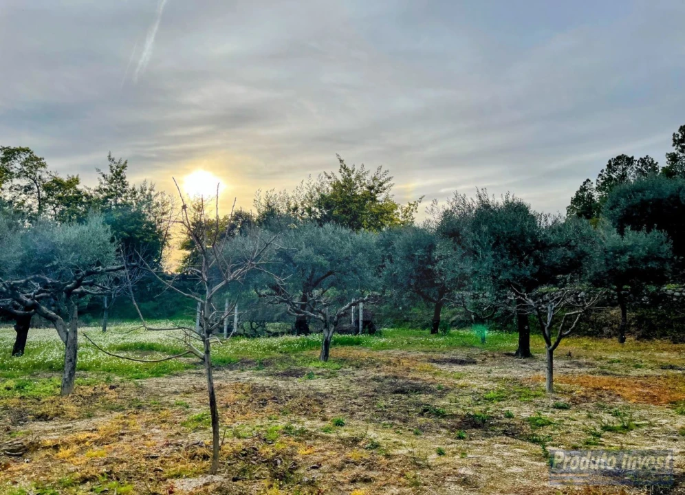 Terreno para Venda em Póvoa de Atalaia e Atalaia do Campo Foto 27