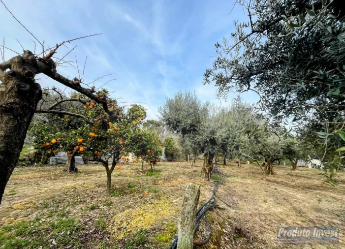Terreno para Venda em Póvoa de Atalaia e Atalaia do Campo Foto 12