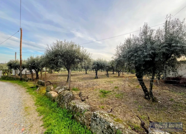 Terreno para Venda em Póvoa de Atalaia e Atalaia do Campo Foto 35