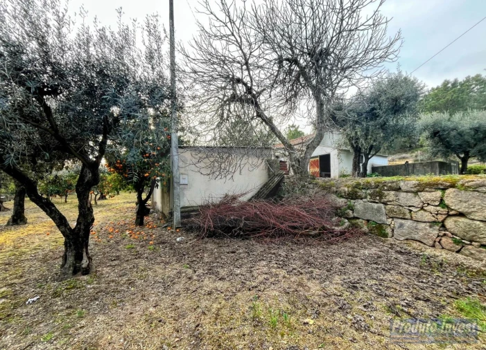 Terreno para Venda em Póvoa de Atalaia e Atalaia do Campo Foto 19