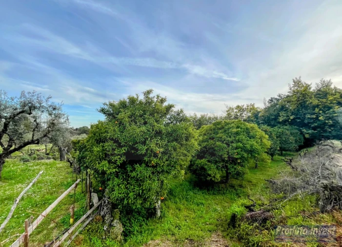 Terreno para Venda em Póvoa de Atalaia e Atalaia do Campo Foto 25