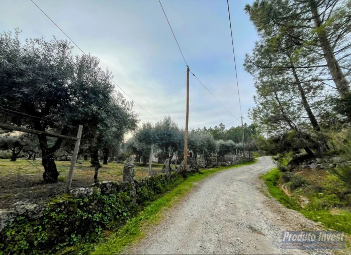 Terreno para Venda em Póvoa de Atalaia e Atalaia do Campo Foto 36
