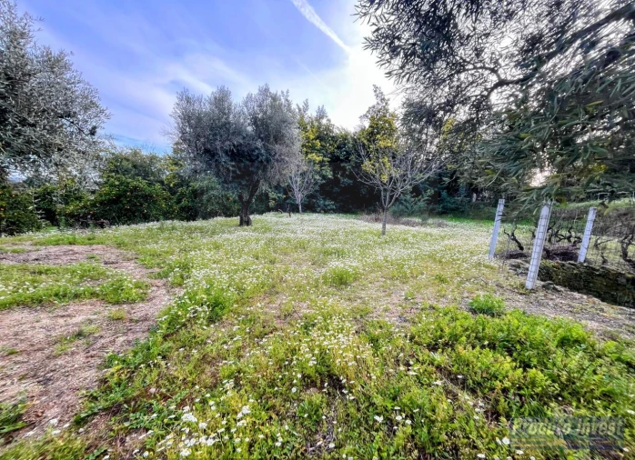 Terreno para Venda em Póvoa de Atalaia e Atalaia do Campo Foto 14