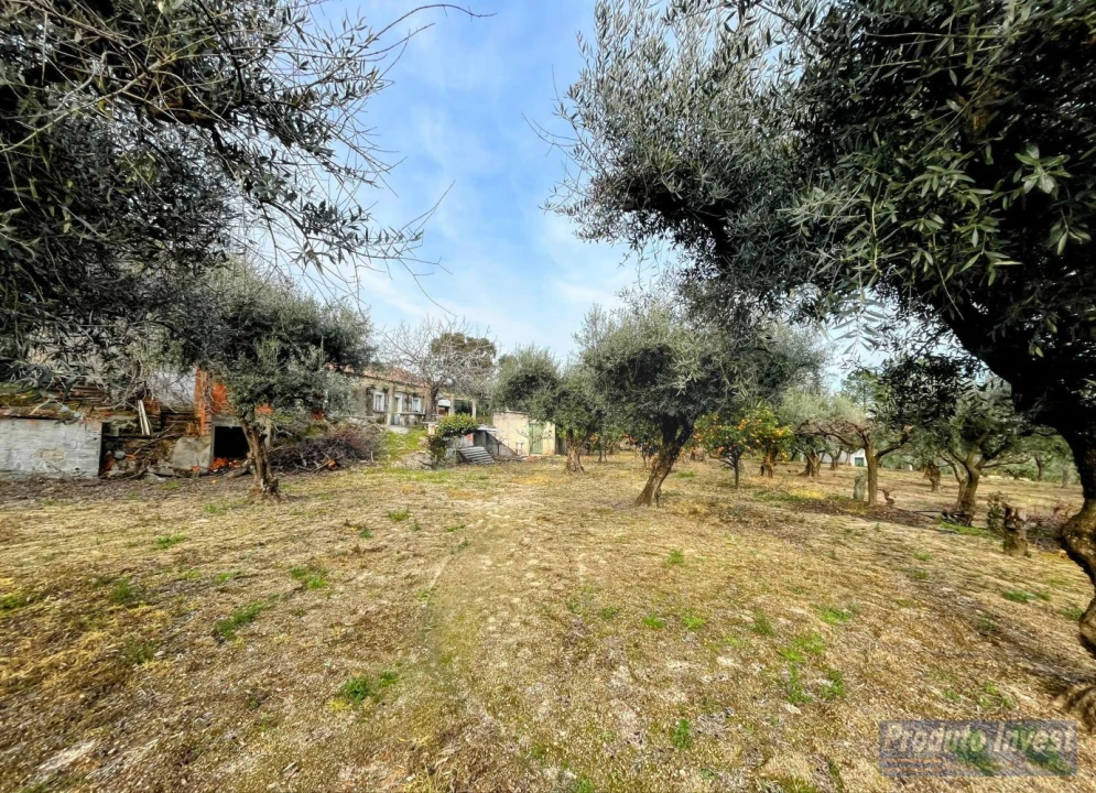 Terreno para Venda em Póvoa de Atalaia e Atalaia do Campo Foto 13