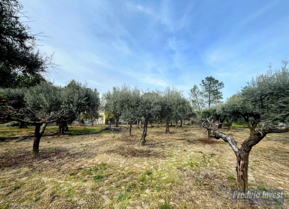 Terreno para Venda em Póvoa de Atalaia e Atalaia do Campo Foto 11