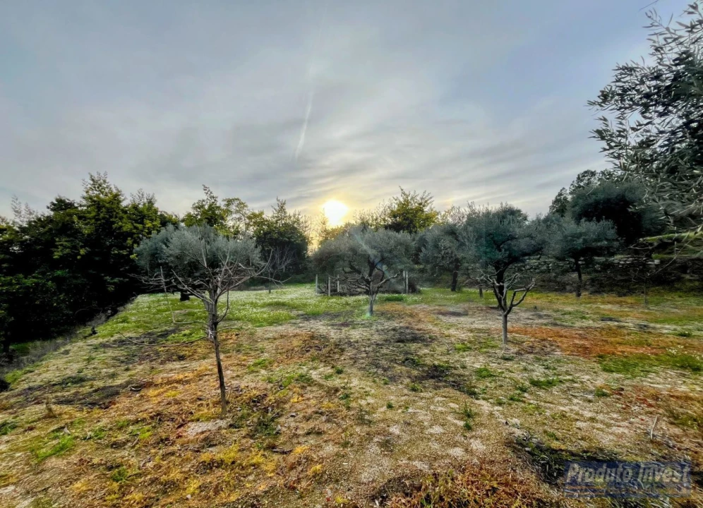 Terreno para Venda em Póvoa de Atalaia e Atalaia do Campo Foto 28