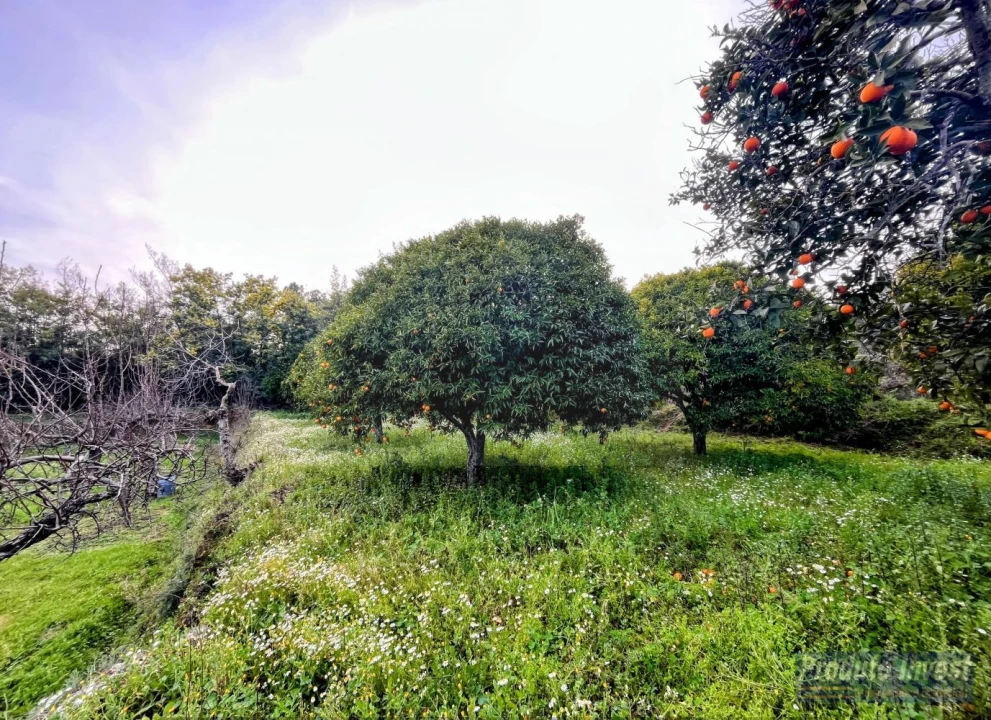 Terreno para Venda em Póvoa de Atalaia e Atalaia do Campo Foto 26