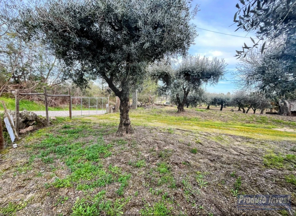 Terreno para Venda em Póvoa de Atalaia e Atalaia do Campo Foto 21