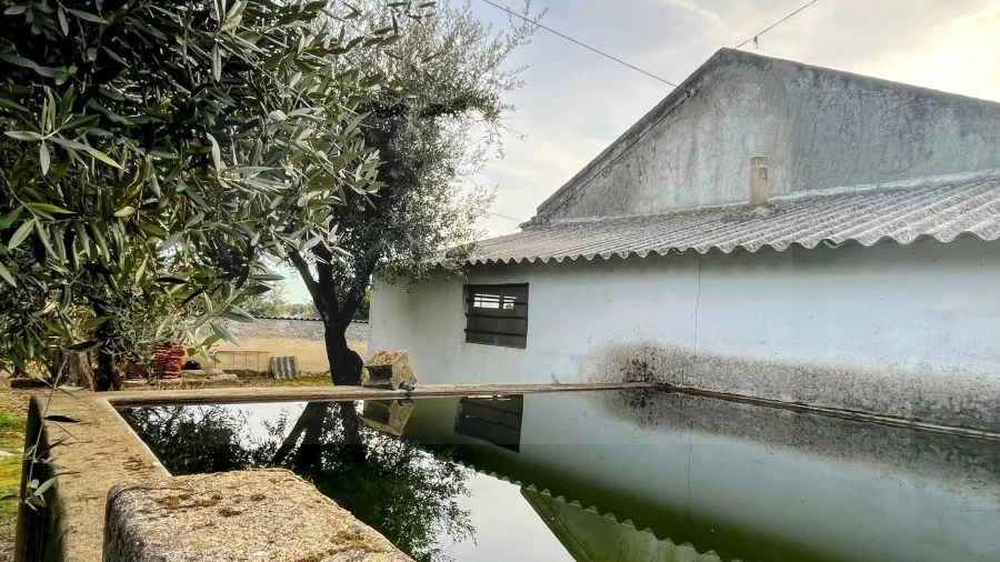 Terreno para Venda em Póvoa de Atalaia e Atalaia do Campo