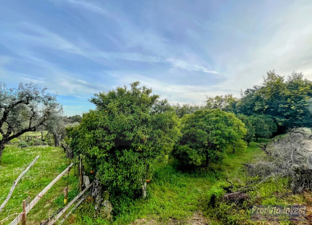 Terreno para Venda em Póvoa de Atalaia e Atalaia do Campo Foto 25