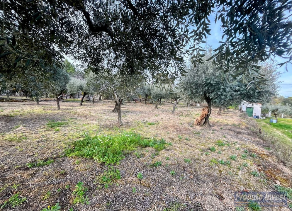 Terreno para Venda em Póvoa de Atalaia e Atalaia do Campo Foto 10