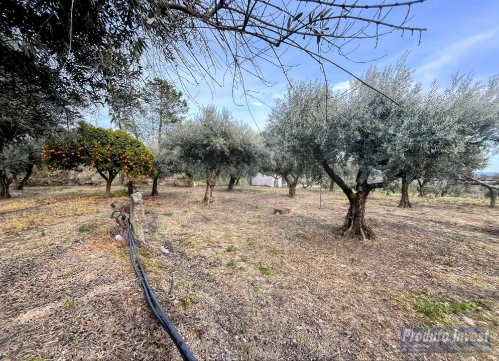 Terreno para Venda em Póvoa de Atalaia e Atalaia do Campo Foto 18