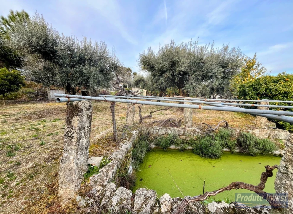 Terreno para Venda em Póvoa de Atalaia e Atalaia do Campo Foto 29