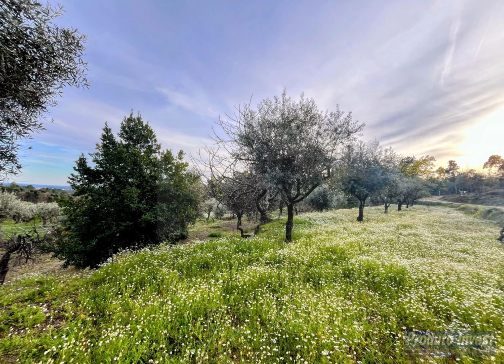 Terreno para Venda em Póvoa de Atalaia e Atalaia do Campo Foto 31