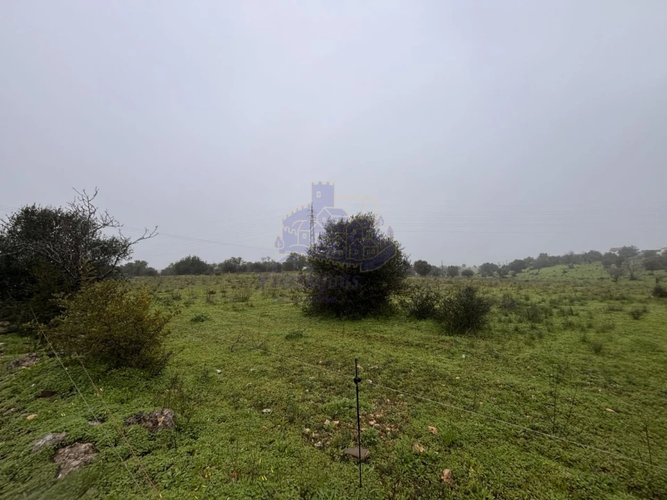 Terreno para Arrendamento em Lagoa e Carvoeiro Foto 5
