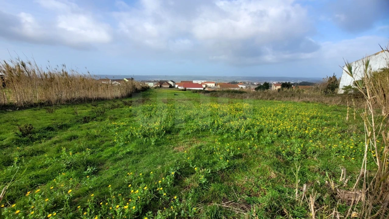 Terreno para Venda em Usseira Foto 2