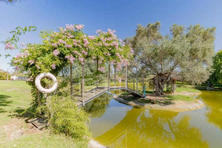 Quinta T6 para Venda em Luz de Tavira e Santo Estêvão Foto 54