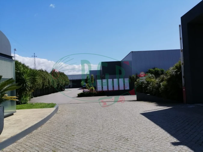 Armazém para Arrendamento em Fânzeres e São Pedro da Cova Foto 9