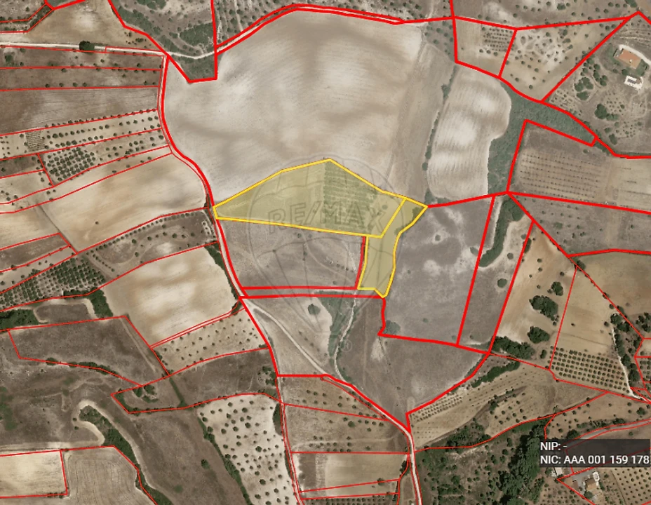 Terreno para Venda em Abitureiras Foto 1