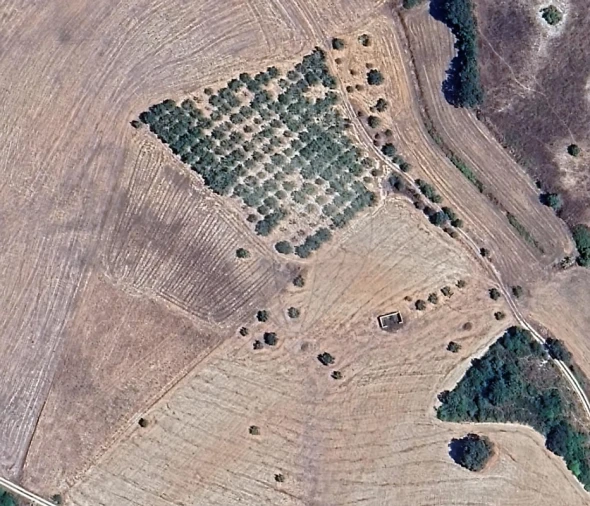 Terreno para Venda em Abitureiras Foto 2