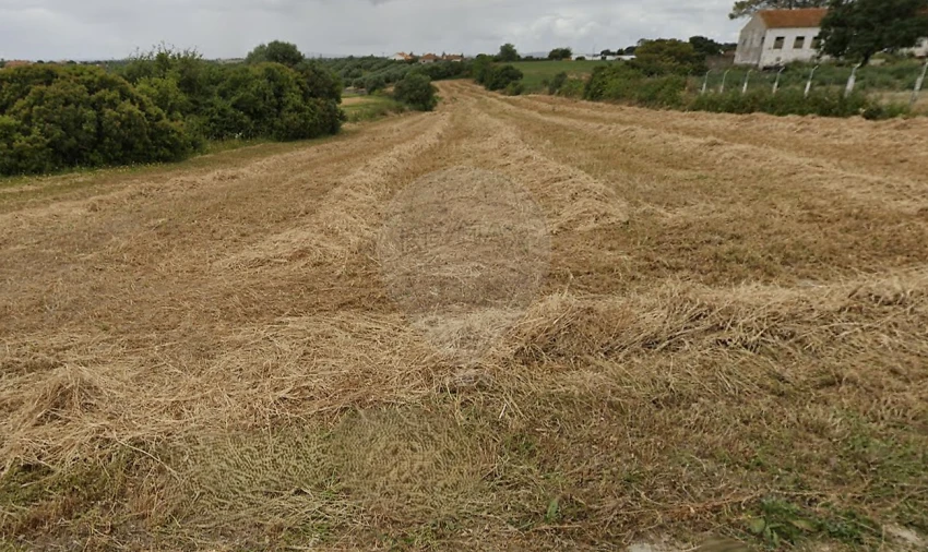 Terreno para Venda em Abitureiras Foto 2